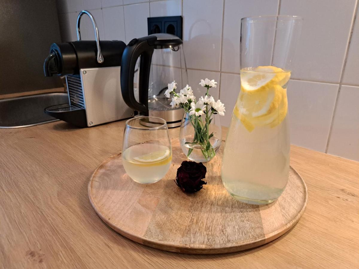 Gemuetliche Helle Ferienwohnung Dresden Ngoại thất bức ảnh